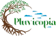 Pluvicopia